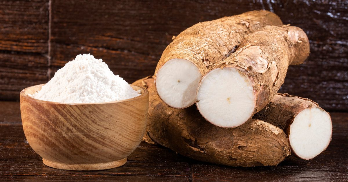 La farine panifiable du manioc est une farine non fermentée, sans odeur, sans micro organisme